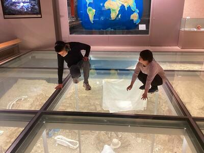 自然史博物館にて　